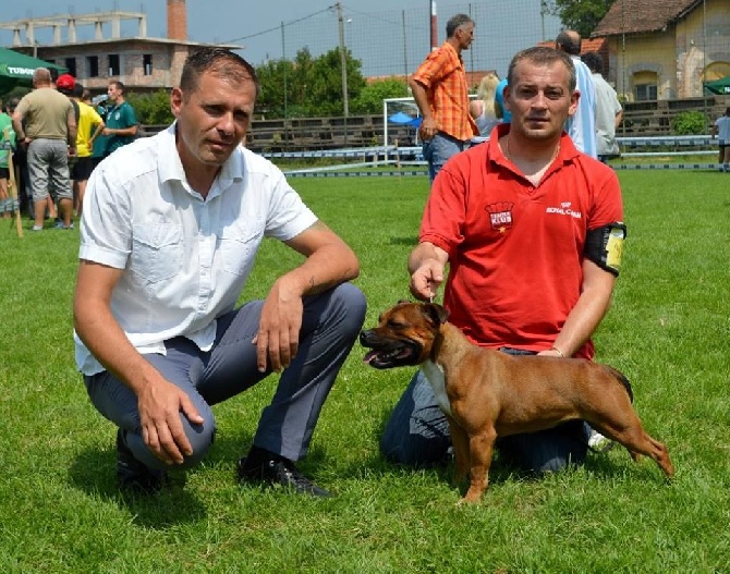 De L' Entre Des Ghost Riders - National dog show --Banja Koviljaca -- 03.08.2014