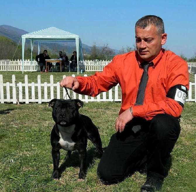 De L' Entre Des Ghost Riders - INTERNATIONAL DOG SHOW ASENOVGRAD(BULGARIA)  16,17 AVRIL 