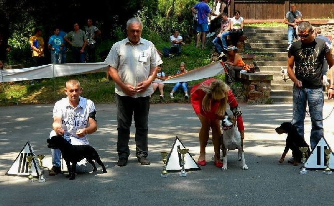 De L' Entre Des Ghost Riders - National dog show Paracin 20.07.2014(serbie)