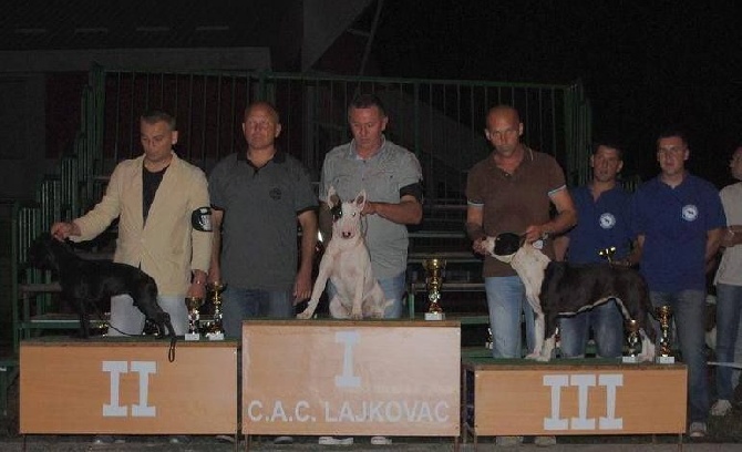 De L' Entre Des Ghost Riders - National dog show Lajkovac 19.07.2014  