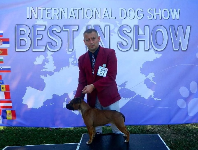 De L' Entre Des Ghost Riders - INTERNACIONAL DOG SHOW ohrid-macedonia